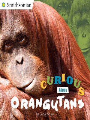 cover image of Curious About Orangutans